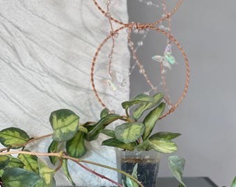 Hoya Trellis Butterfly Trellis/Houseplant Accessory/Plant Trellis/Plant Accessory’s/Indoor Houseplant Trellis