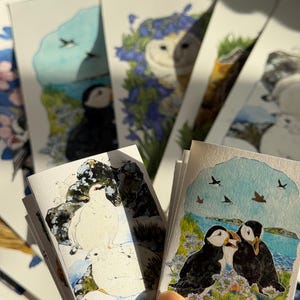 Aves silvestres del año – Conjunto de fanzines en acordeón de dos volúmenes – Aves escocesas Aves británicas