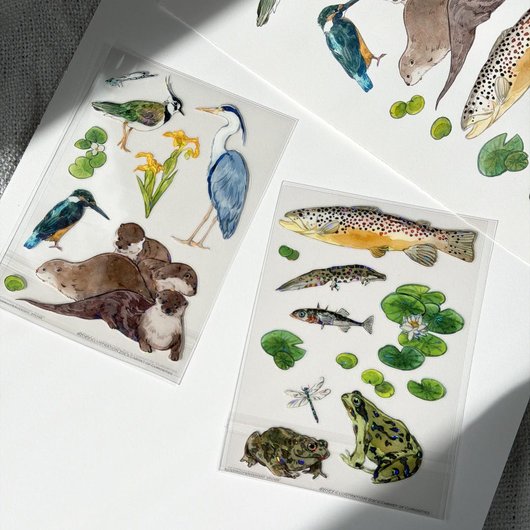 Freshwater Wildlife Iridescent Waterproof Sticker Sheet | A6 Vinyl ...