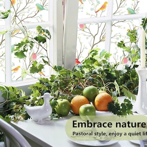 May include: A window with a decorative film featuring a white background with branches, pink and yellow birds, and small white flowers. The window is framed in white and is partially obscured by green leafy plants. A white ceramic duck figurine sits on a white table with green apples and oranges.