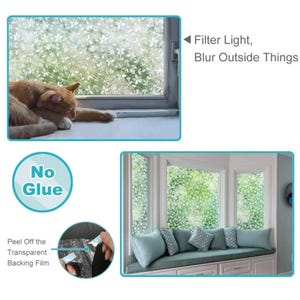May include: Window film with a floral pattern, shown installed on windows. The film filters light and blurs the view. A cat is resting on a windowsill. Text reads "Filter Light, Blur Outside Things" and "No Glue".