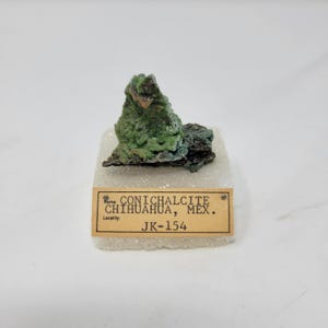 Conichalcite From Chihuahua, Mexico