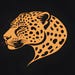 The Lonely Cheetah