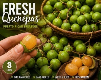 Quenepas porto-riquenhas frescas, Guinep, Mamoncillo, limão espanhol por libra, frutas orgânicas. LEIA