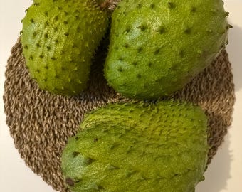 Organic Soursop (Guanábana) - 1 Whole Fruit (3-4lb) READ Description before buying.