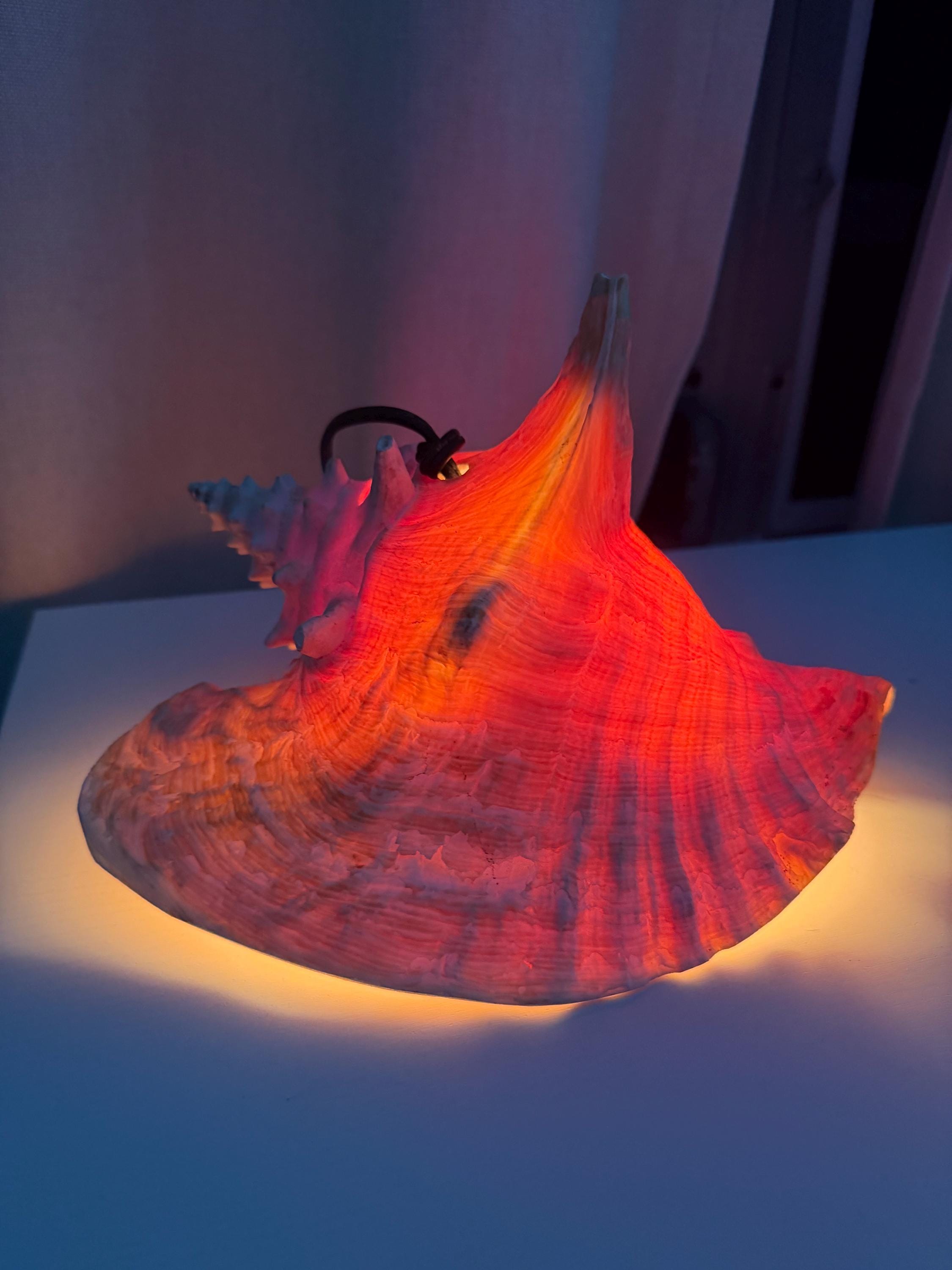 Sea Shell Vintage Lamp - Etsy