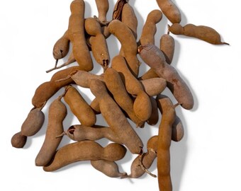 Vagens de Tamarindo Fresco de Porto Rico 425g Fruta Tropical Natural Inteira Tamarindo