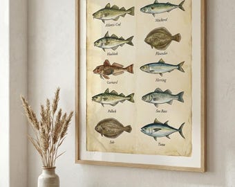 Common Fish Chart Print | Kitchen Wall Art | Seafood Identification Poster | A2 Coastal Decor