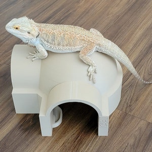 May include: A beige reptile hide with a textured surface and a rounded opening. A light beige bearded dragon lizard is perched on top of the hide.
