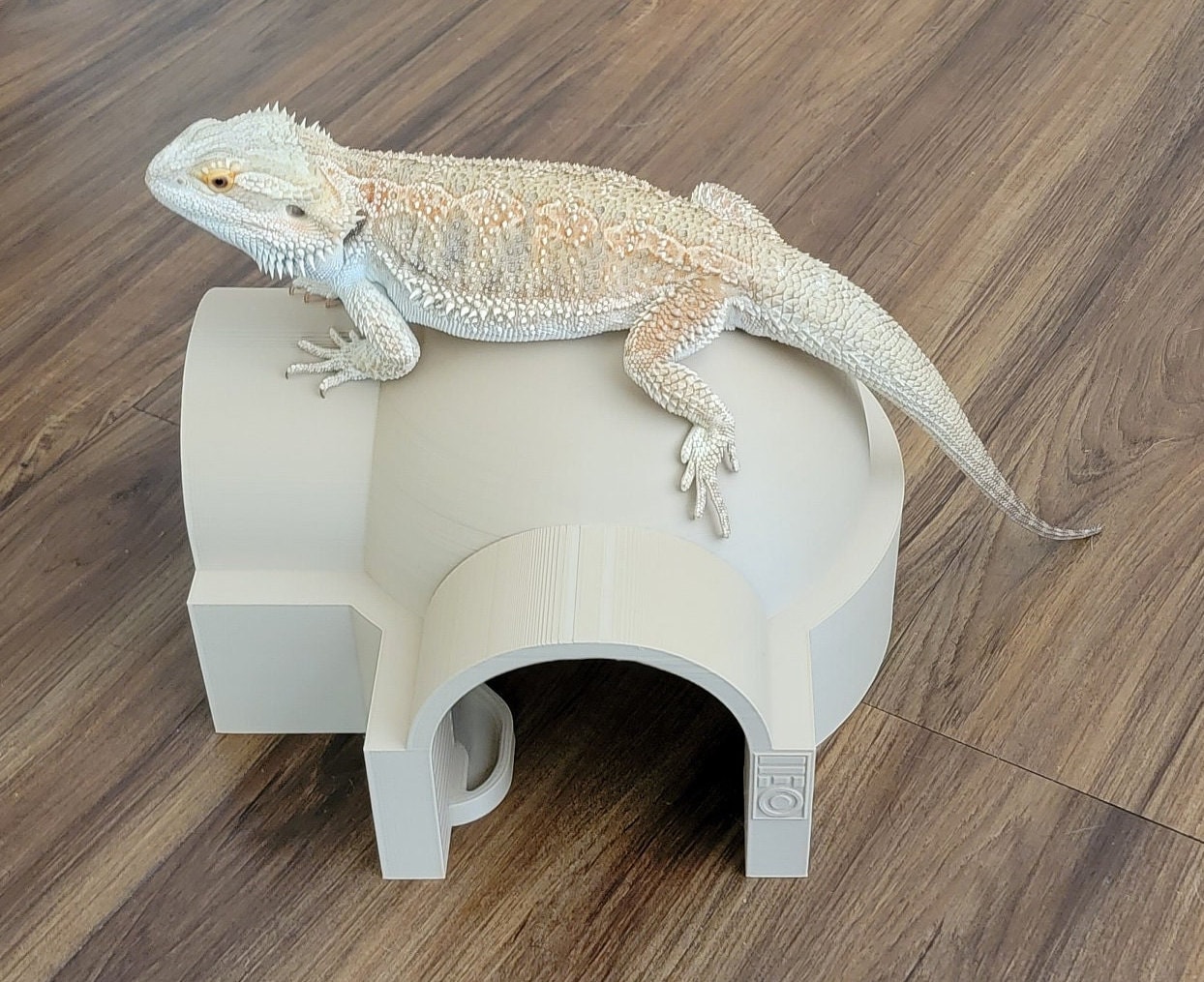 Bearded dragon print fabric sales