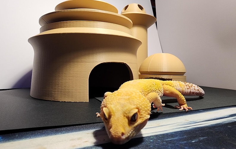 Jabbas Palace Reptile Hide for Bearded Dragon Gecko Snake | Sci-fi ...