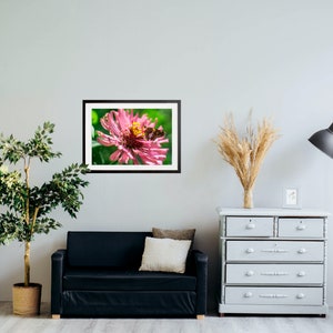 Beautiful Butterfly on Zinnia Flower Photo, Floral Digital Art Print – Instant Download