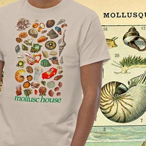 SHELL TSHIRT Mollusc House design