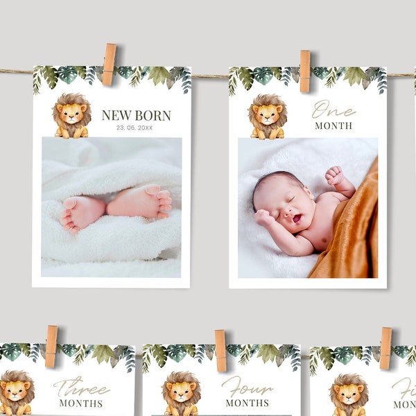 Editable Lion Monthly Photo Banner, Lion Party Milestone Photos, 1st Birthday photos, Instant Download, Printable template, #H026