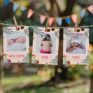 Pool Party Monthly Photo Banner, Swimming Party Milestone Photos, Summer 1st Birthday, Instant Download, Editable/Printable template, #H057