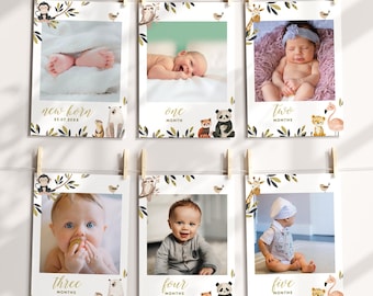 Safari Animals Milestone Photo Banner: Wild One Birthday (Editable Template, Instant Download) #H072
