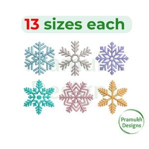 Può includere: Sei diversi disegni di ricamo a forma di fiocco di neve in vari colori, tra cui blu, viola, rosa e giallo. Il testo "13 dimensioni ciascuna" è nella parte superiore dell'immagine.