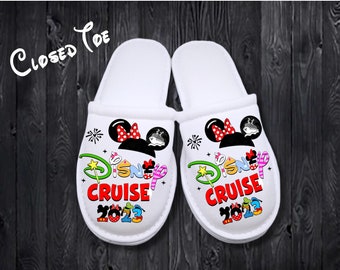 Family Vacation, Disney Cruise 2024, Cruise Vacation, House Slippers