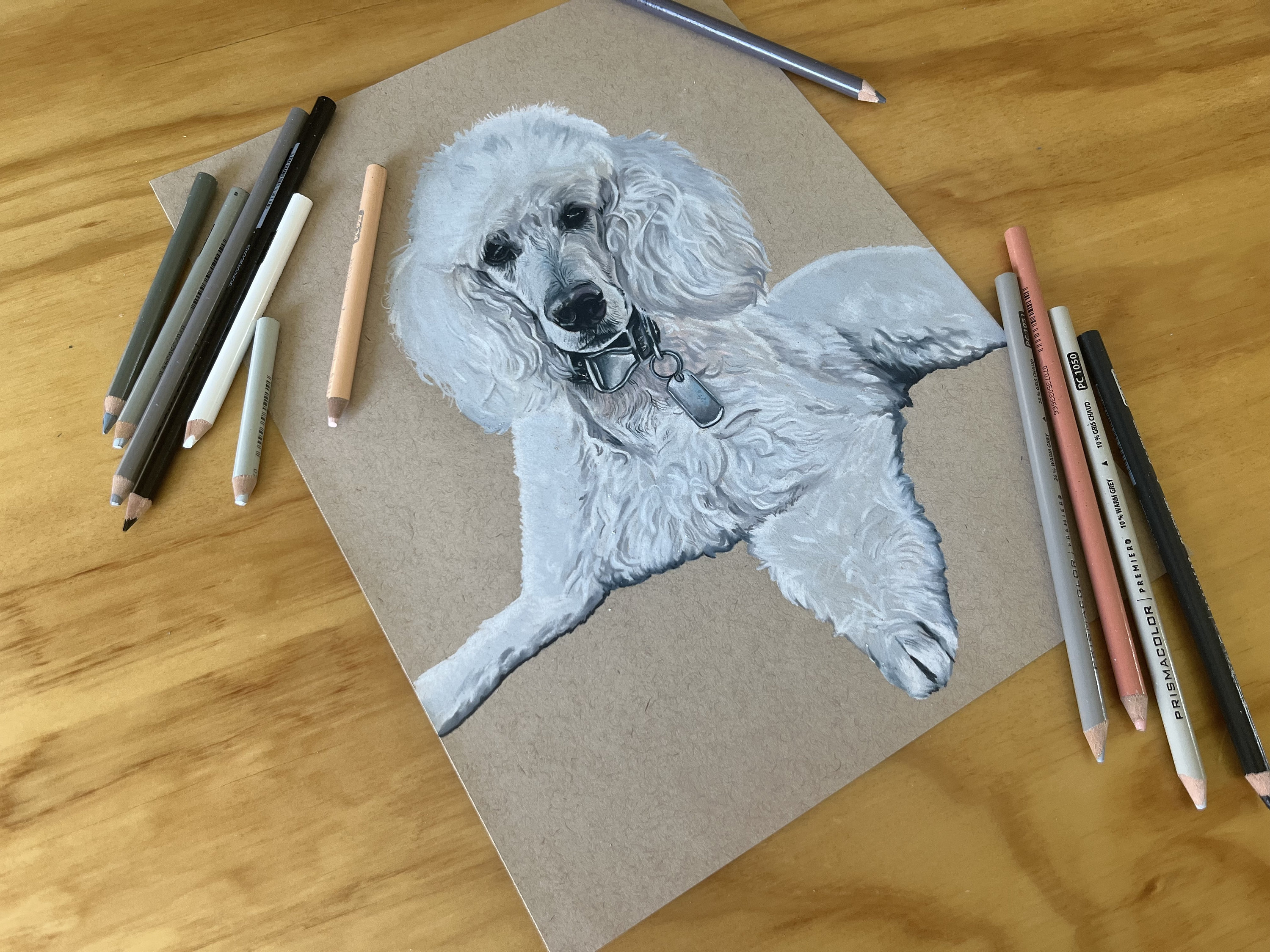 Custom Hand Drawn Colored Pencil Pet Portrait - Etsy
