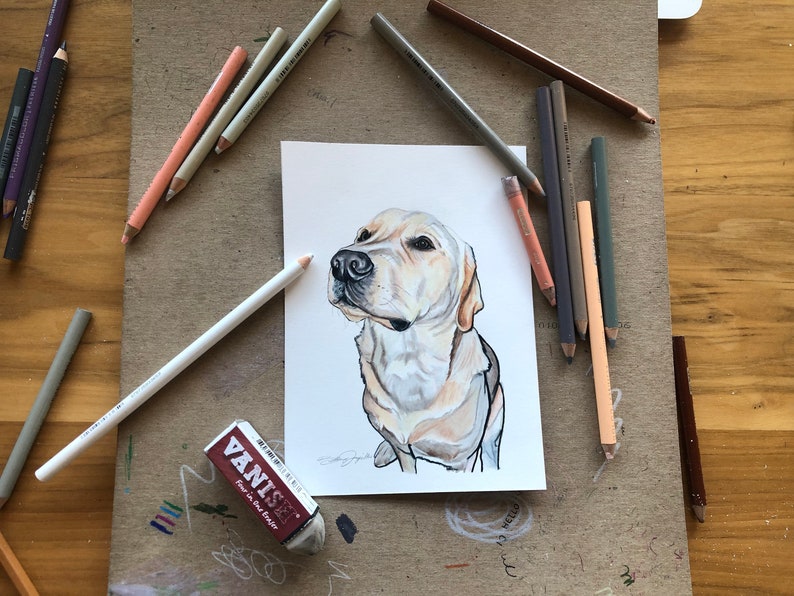Custom Hand Drawn Colored Pencil Pet Portrait - Etsy