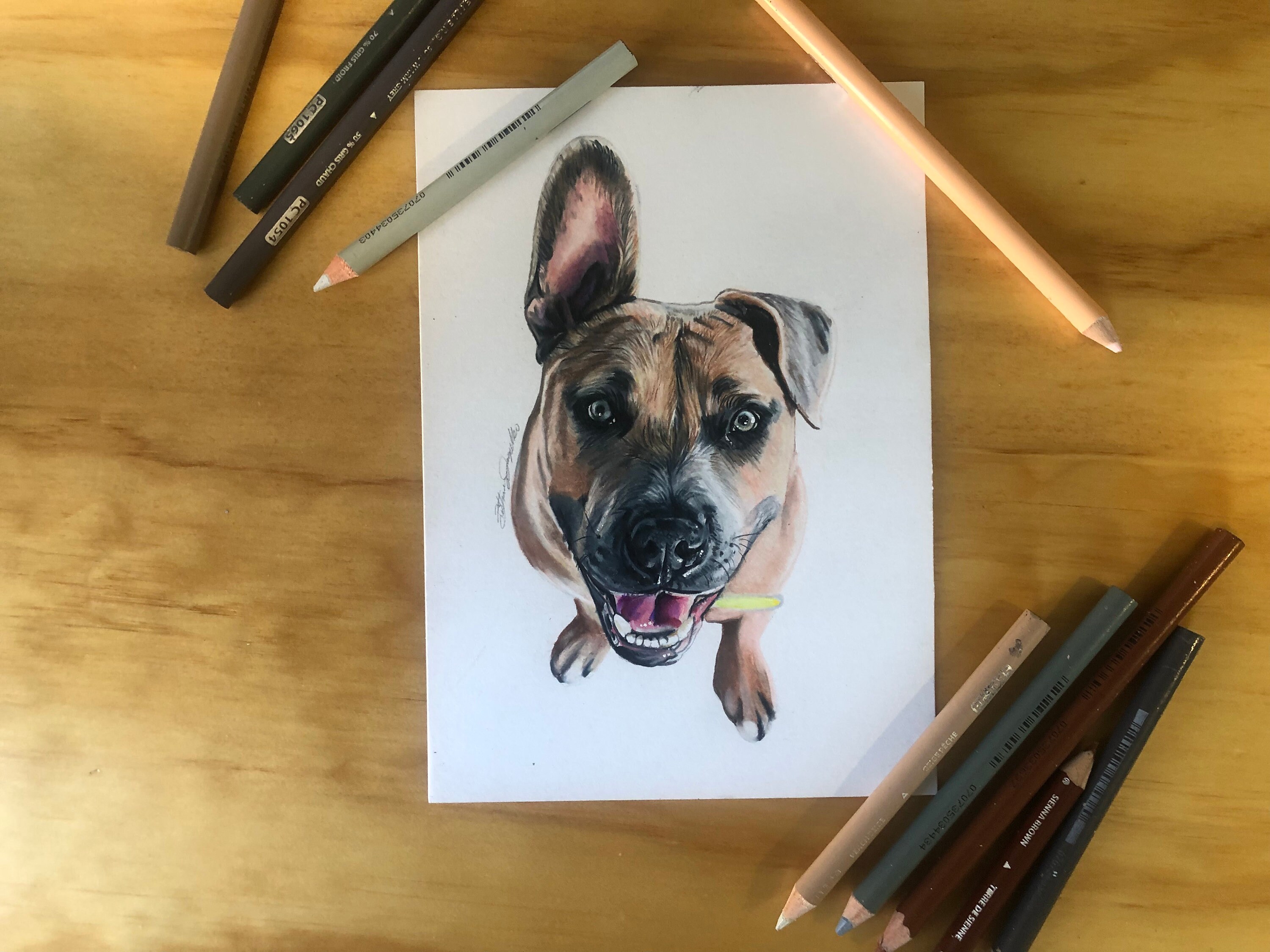 Custom Hand Drawn Colored Pencil Pet Portrait - Etsy