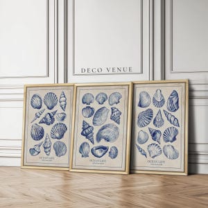 Toile Blue Seashells Framed Canvas Wall Art Set of 3 Minimalist Coastal Wall Art Nautical Blue and White Wall Decor Sea Shell Art Print