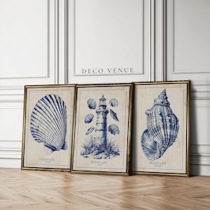 Toile Blue Seashells and Lighthouse Framed Wall Art Prints Minimalist Blue and White Coastal Wall Art Nautical Wall Decor Sea Shell Wall Art