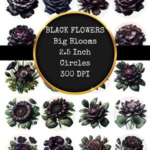 May include: A collection of black flower designs in various styles, including roses, peonies, and sunflowers, arranged in circular shapes. The text "BLACK FLOWERS, Big Blooms, 2.5 Inch Circles, 300 DPI" is displayed in the center.