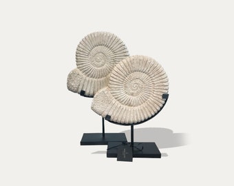 Set of 2 ammonite stone statues from Java
