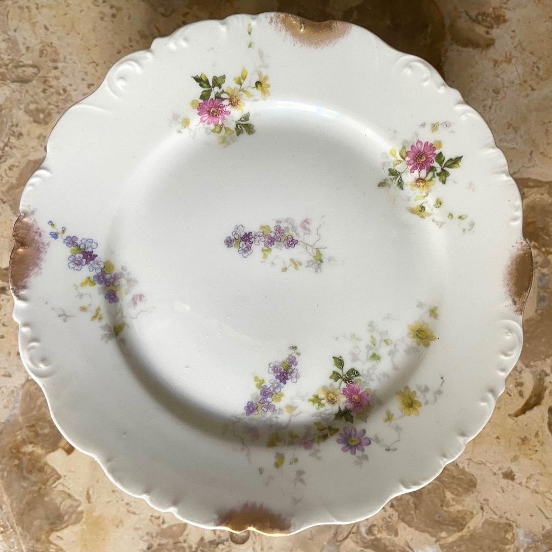 Assiettes Limoges Antiques,