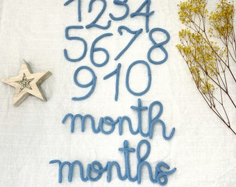 Baby Monthly Milestone Signs, Knitted Milestone Set, Baby Month Photo Signs, Custom Name Sign, Baby Months, Custom Baby Gift, Newborn Gifts