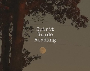 Spirit Guide Reading