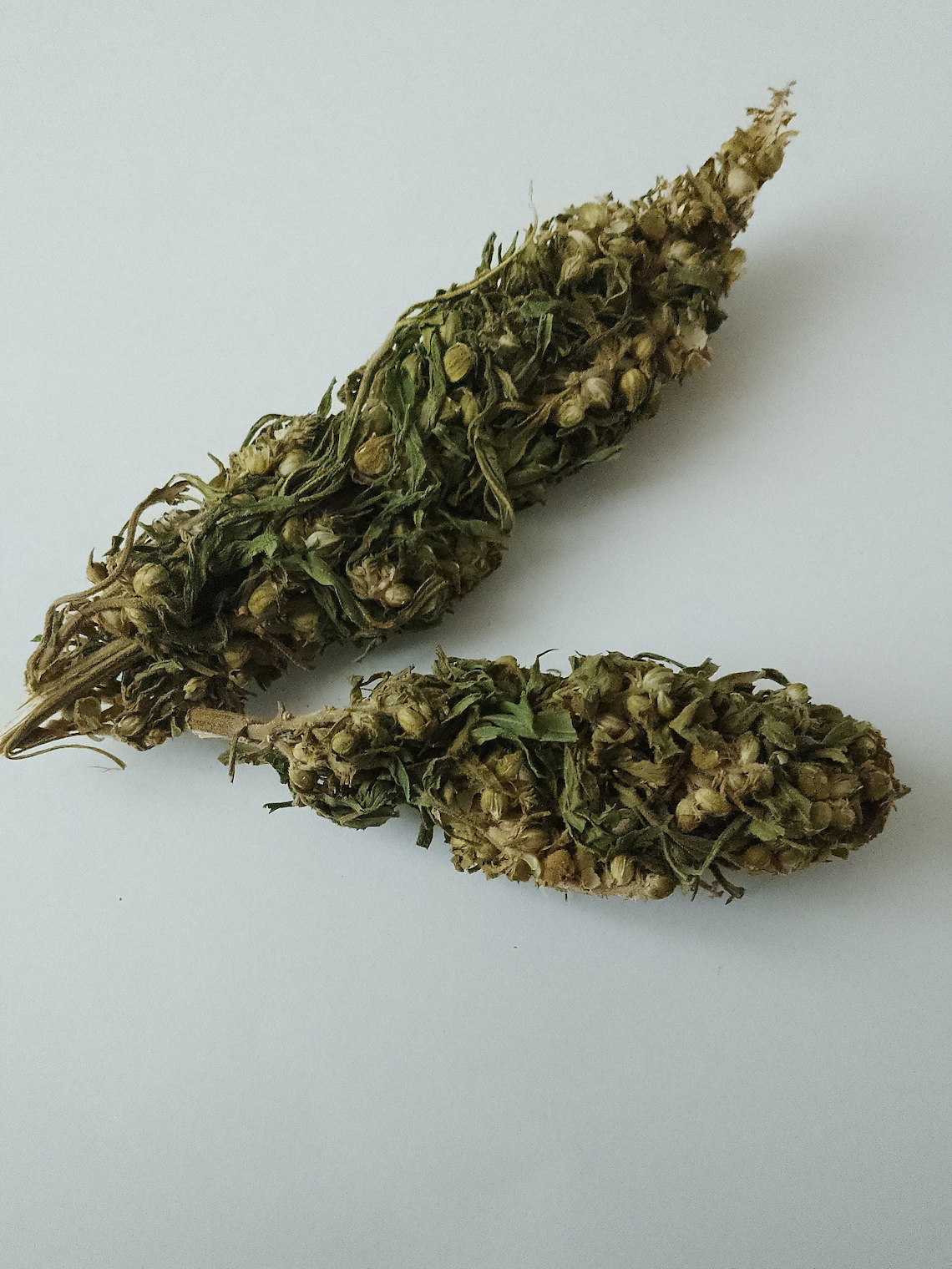 15g Organic Hemp Flower Buds Dried Herb Premium Quality to Etsy
