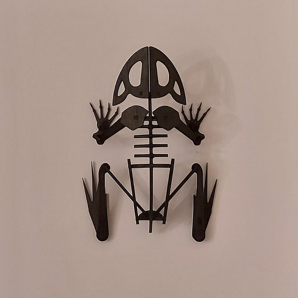 Frog Skeleton Kit Bone Frog puzzle DIY Gift