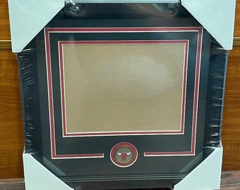 Chicago Bulls Horizontal Medallion Picture Frame