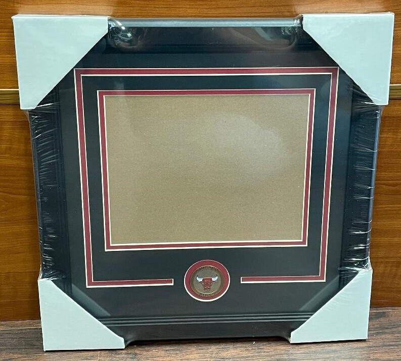 Chicago Bulls Horizontal Medallion Picture Frame