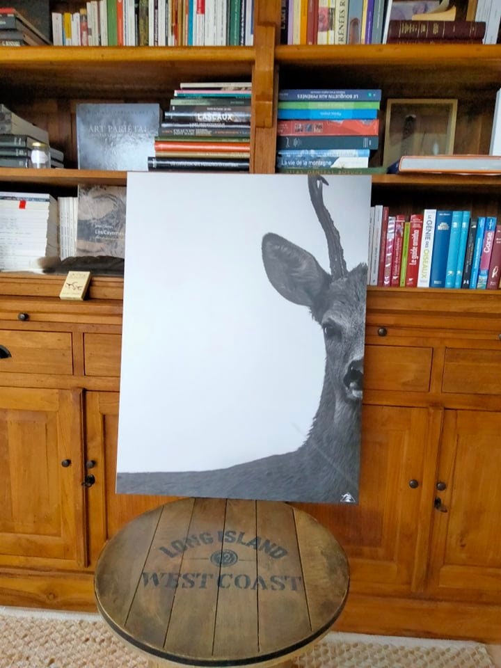 Tirage d'art - Alu Dibond Elégance