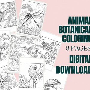 Printable Adult Coloring Pages, Nature Coloring Pages, Animal Coloring Pages, Relaxing Activity, Instant Download, Coloring Sheets