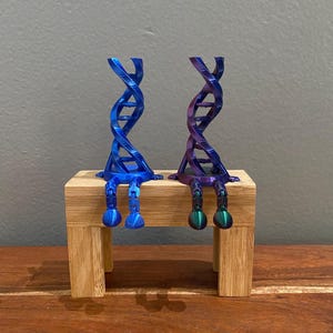 May include: Two 3D-printed DNA helix sculptures in blue and purple hues, seated on a small wooden bench. The sculptures have detailed legs and feet, with a gradient color effect. The bench is made of light-colored wood, and the background is a neutral gray.