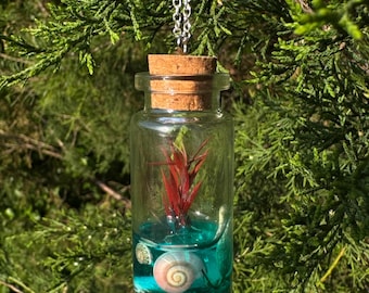 Botellas miniatura personalizadas para hacer tú mismo