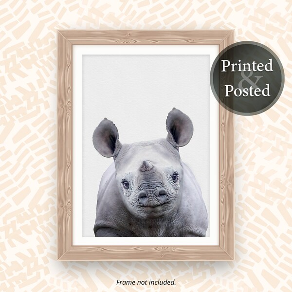 Rhino Wall Art Etsy UK