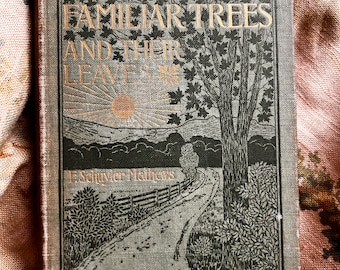 Rare, Antique Hardcover Familiar Trees and Their Leaves, by F. Schuyier Mathews, 1896, Antique Book, Conservatory, Gardener, First Edition