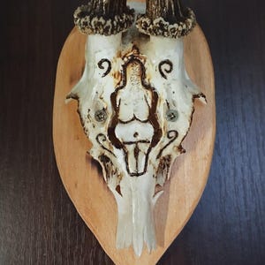 Op de afbeelding: Een herten schedel met geweien gemonteerd op een houten plaat. De schedel is versierd met een geëtst ontwerp van een figuur. De geweien zijn bruin en de plaat is lichtbruin. De schedel is met twee schroeven aan de plaat bevestigd.