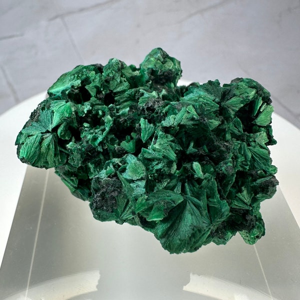 Fibrous Malachite Cluster | Raw Malachite Cluster | Velvet Malachite