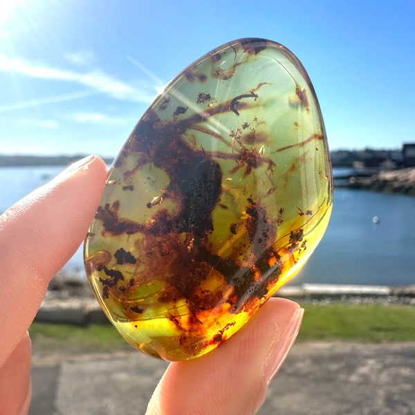 Colombian Amber | 100% Genuine Amber | Polished Amber Stone | UV-Reactive Amber Crystal | Ancient Fossilized Amber