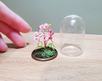 Dollhouse miniature flower - Phalaenopsis orchids in glass domed terrarium