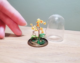 Dollhouse miniature flower - Phalaenopsis orchids in glass domed terrarium