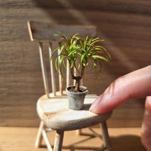 Dollhouse miniature indoor plants - Dragon tree in handmade pot in 1:12