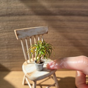 Dollhouse miniature indoor plants - Dragon tree in handmade pot in 1:12