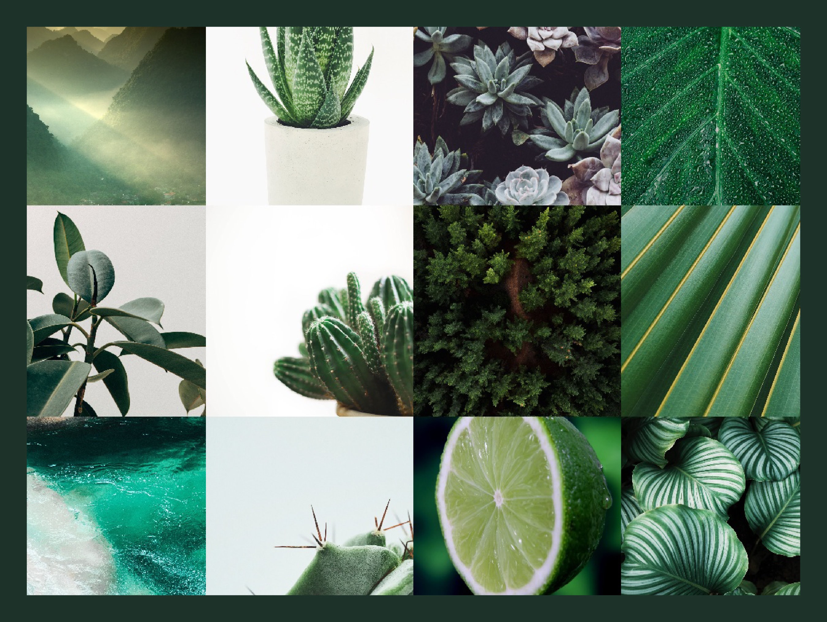 Aesthetic Emerald Green Collage Kit | Downloadable Photo Wall | Dorm ...